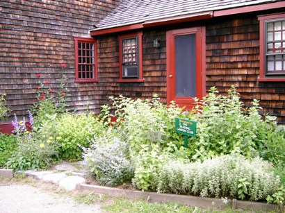 kitchen garden